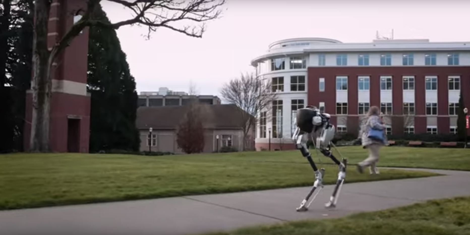 Meet Cassie, the Bipedal Robot Here to Ostrich-Walk Into Your Nightmares