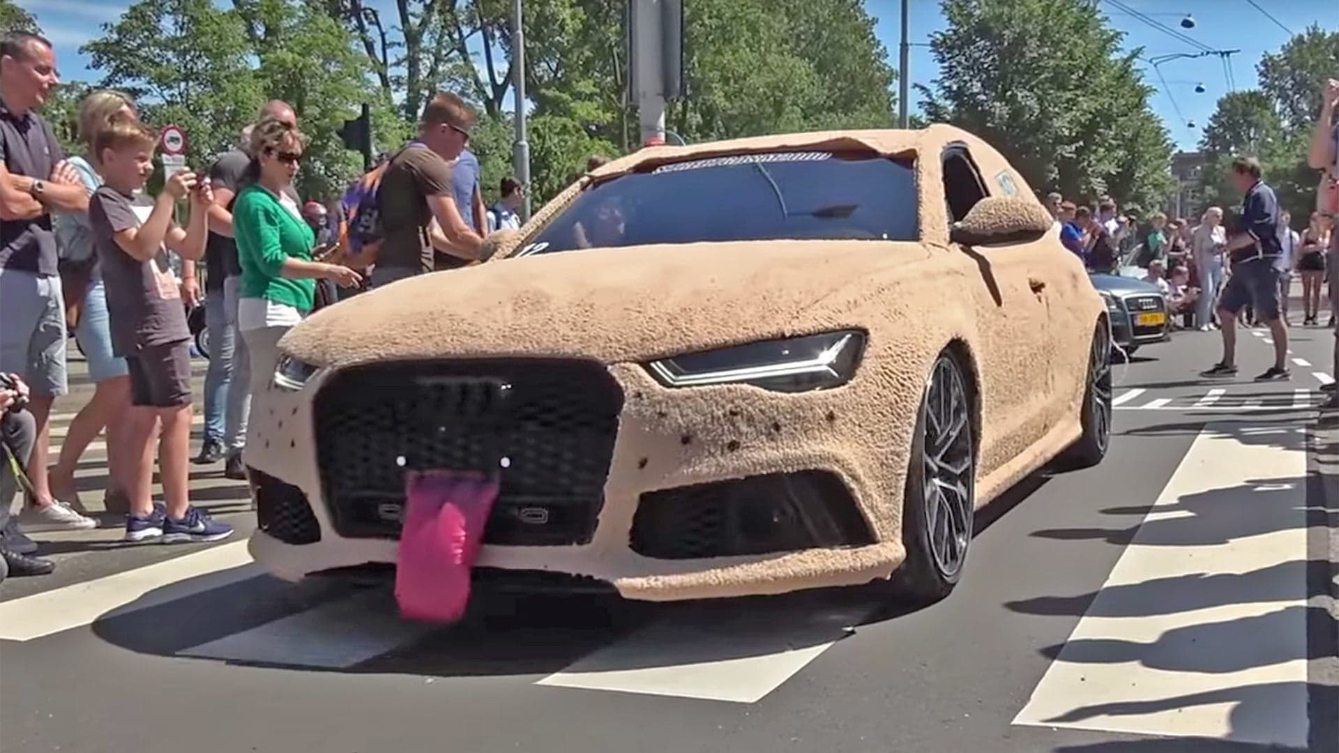 Shaggy Dog Audi RS6 Avant May Be the Best Dumb and Dumber Tribute Car Ever