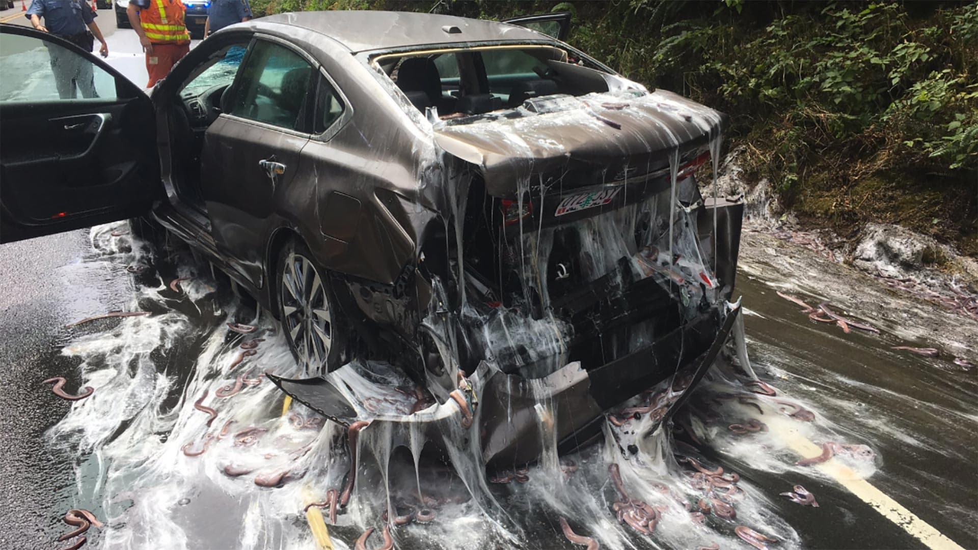 Eel-Coated Oregon Highway Crash Looks Like a Scene From Ghostbusters