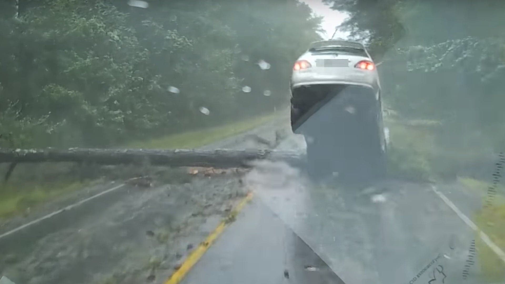 Lexus Driver Nearly Crushed by Falling Tree During Tropical Storm Irma