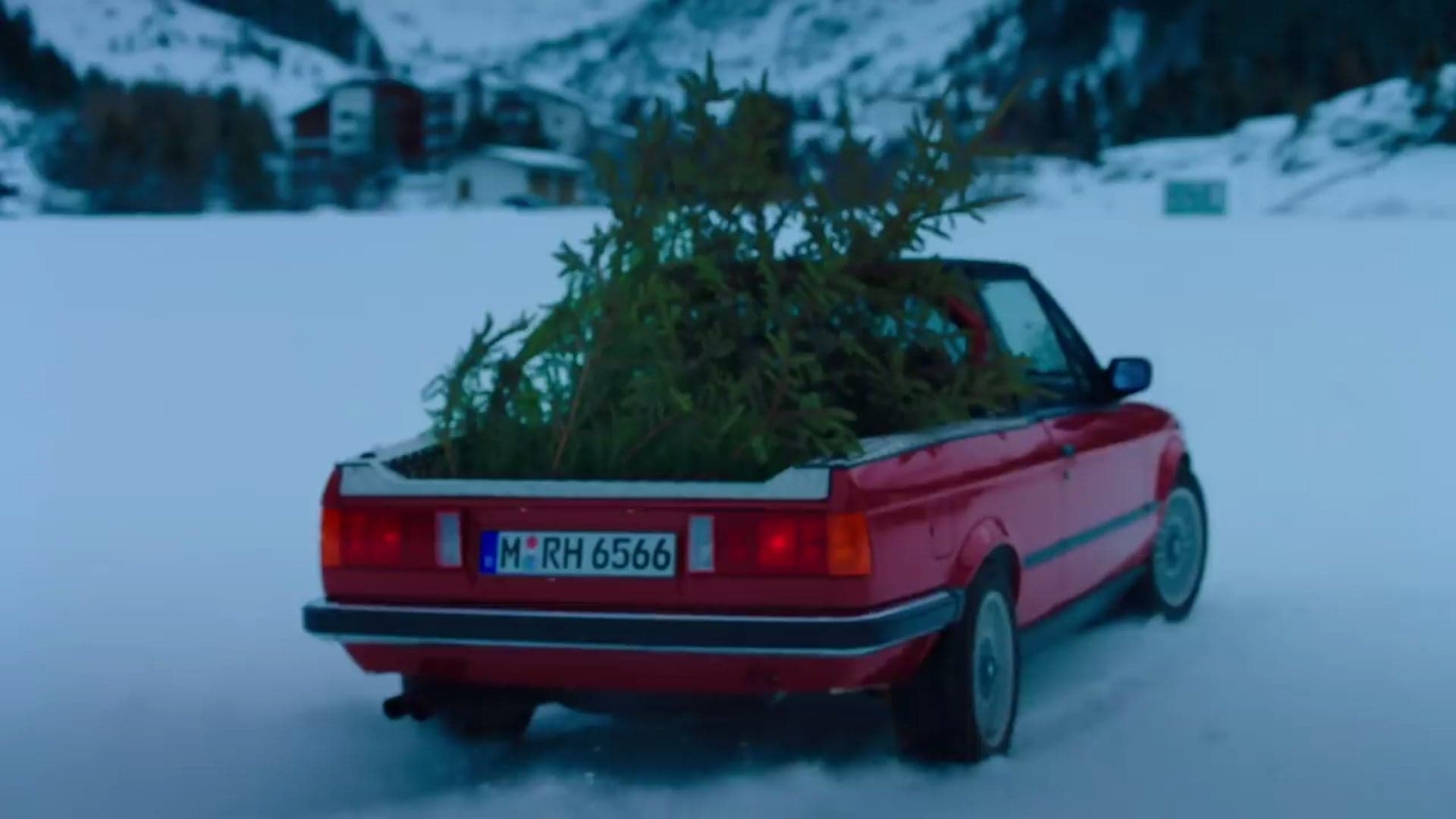BMW M3 Causes a Christmas Tree Tragedy