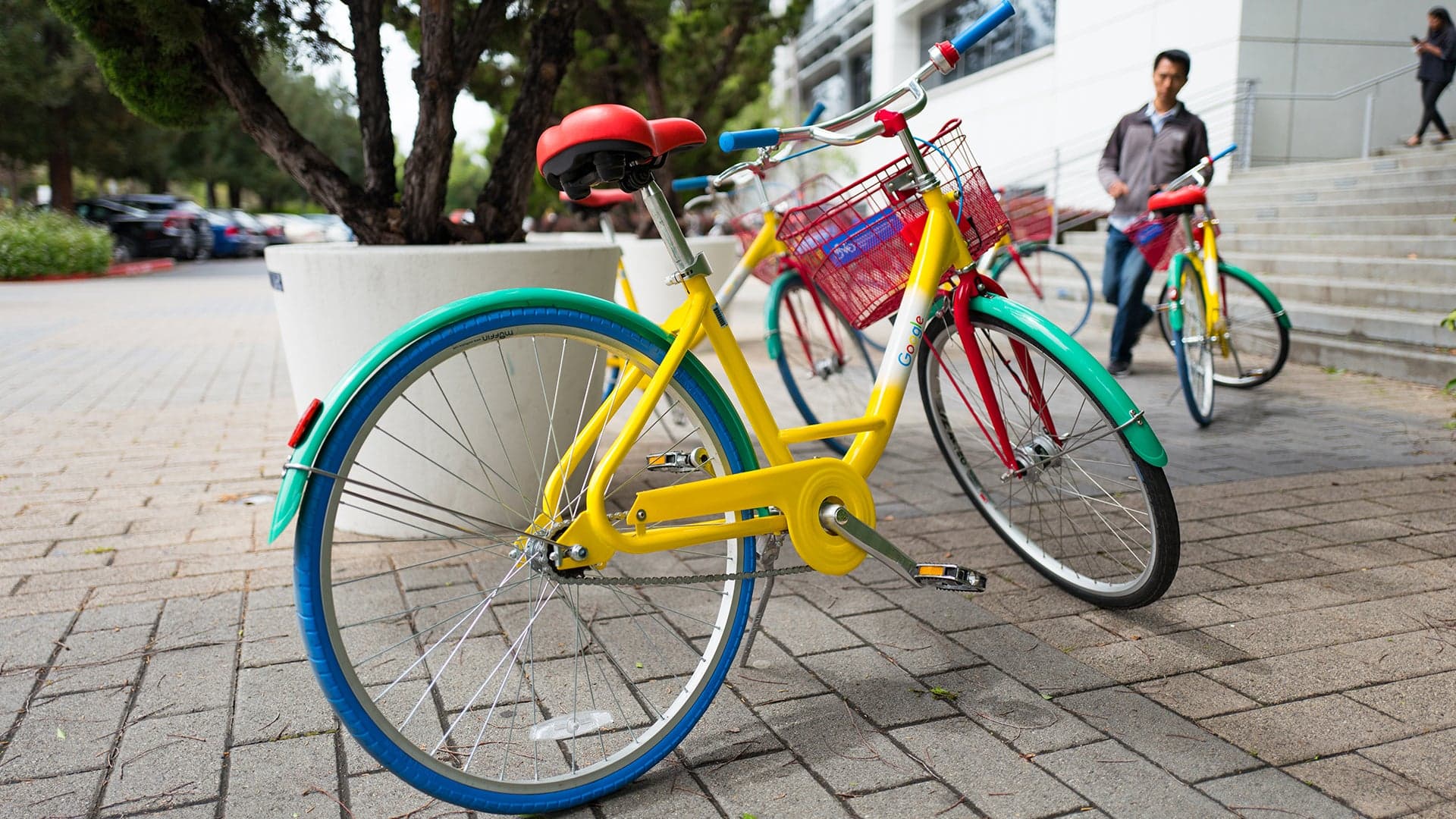 Google Would Really like If You Stopped Stealing Its Bicycles
