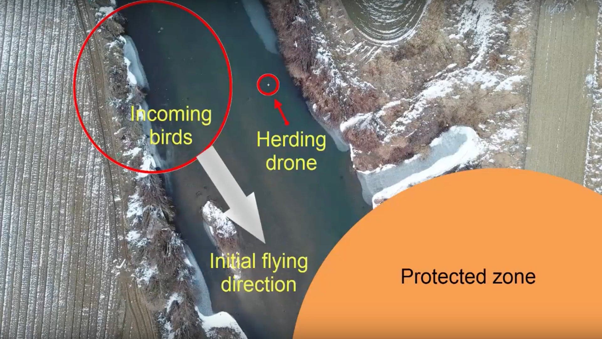 Caltech Develops Algorithm for Single Autonomous Drone to Herd Birds Away From Airports