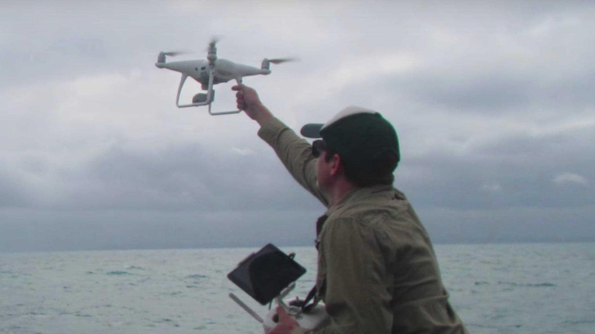 Australian Rangers Use Drones to Monitor and Protect Endangered Turtles From Predators