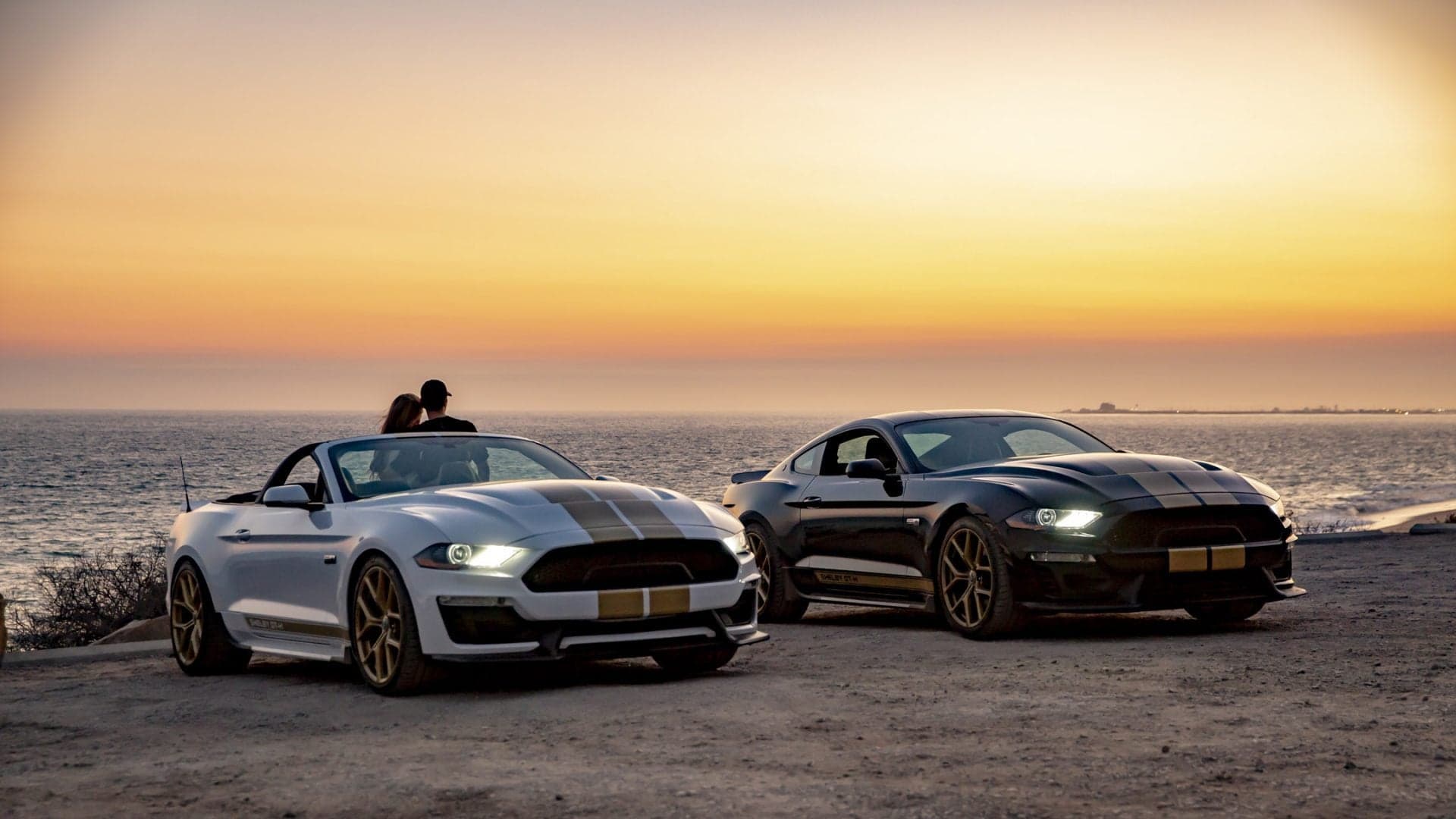 2019 Shelby GT: The Mustang Gets a Head-to-Toe Makeover
