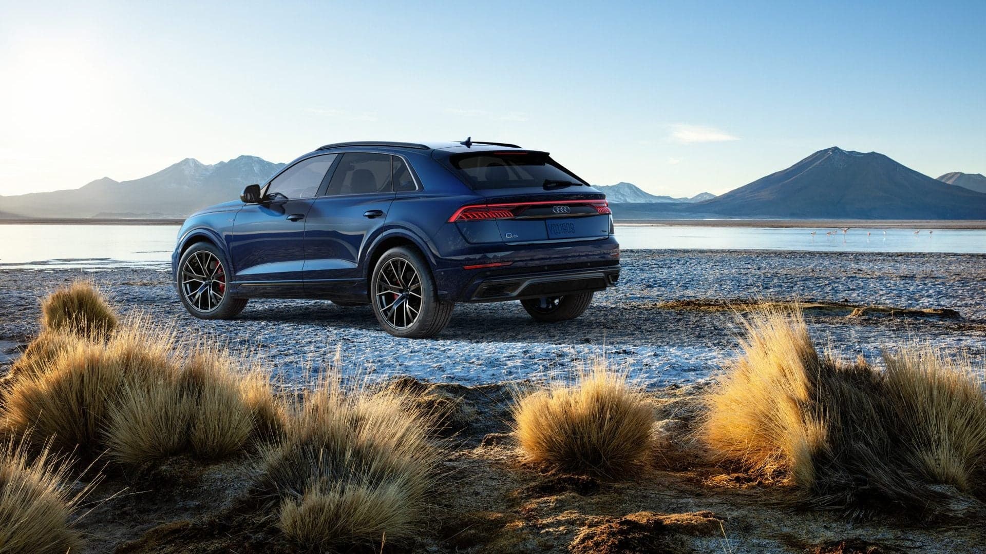 2019 Audi Q8: In Case Your Family Isn’t Q7-Sized