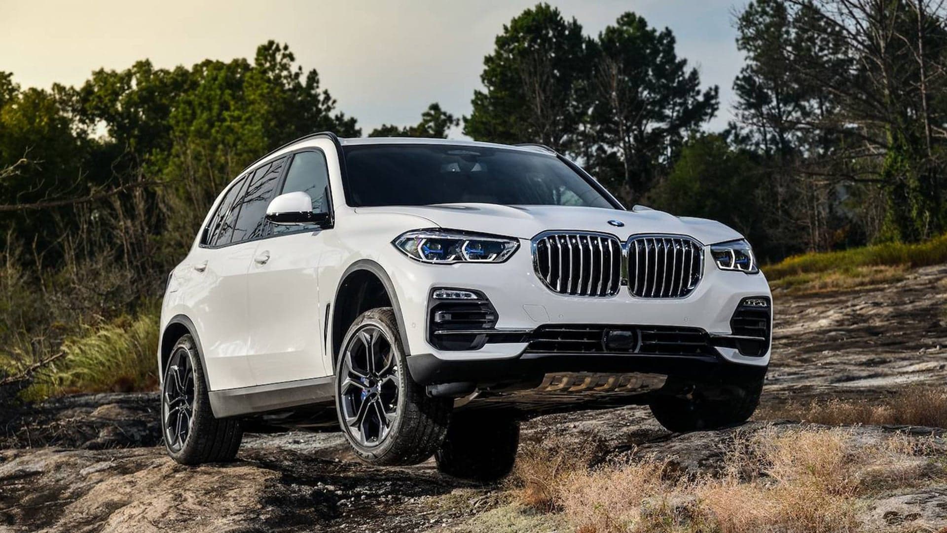 2019 BMW X5 First Drive: Call This Crossover the Perfectly Acceptable Driving Machine