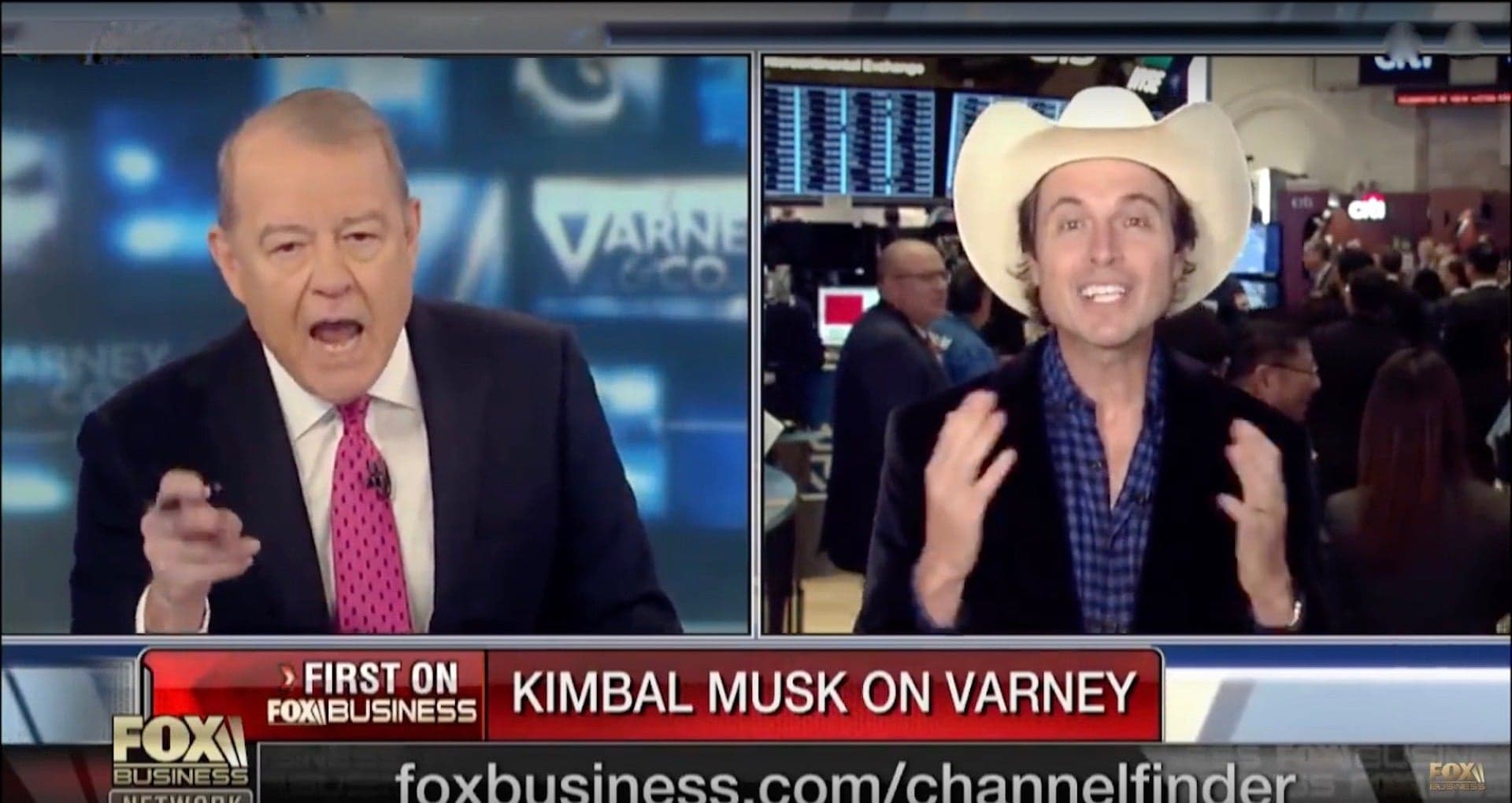 Watch Elon Musk’s Brother Hilariously Troll Fox Business Host on Live TV