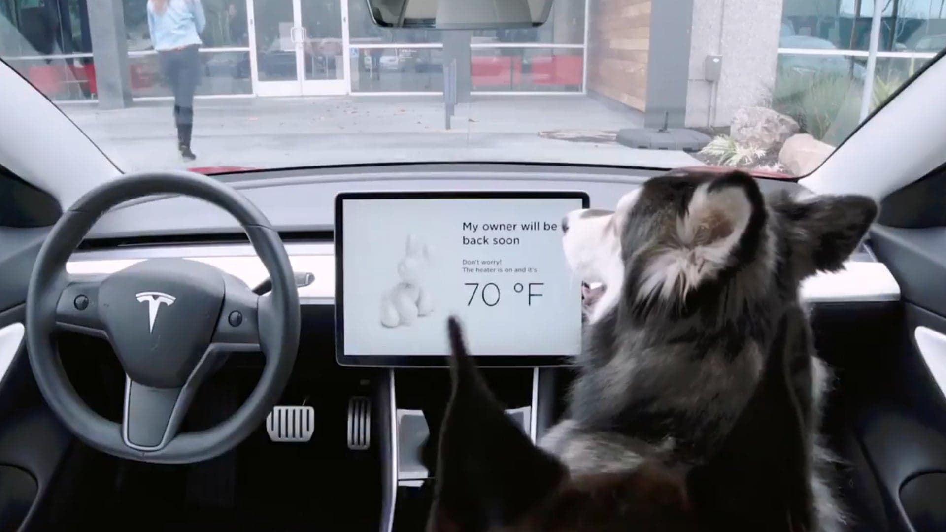 Tesla Launches ‘Dog Mode’ to Help Furry Friends Stay Safe While Waiting in Car
