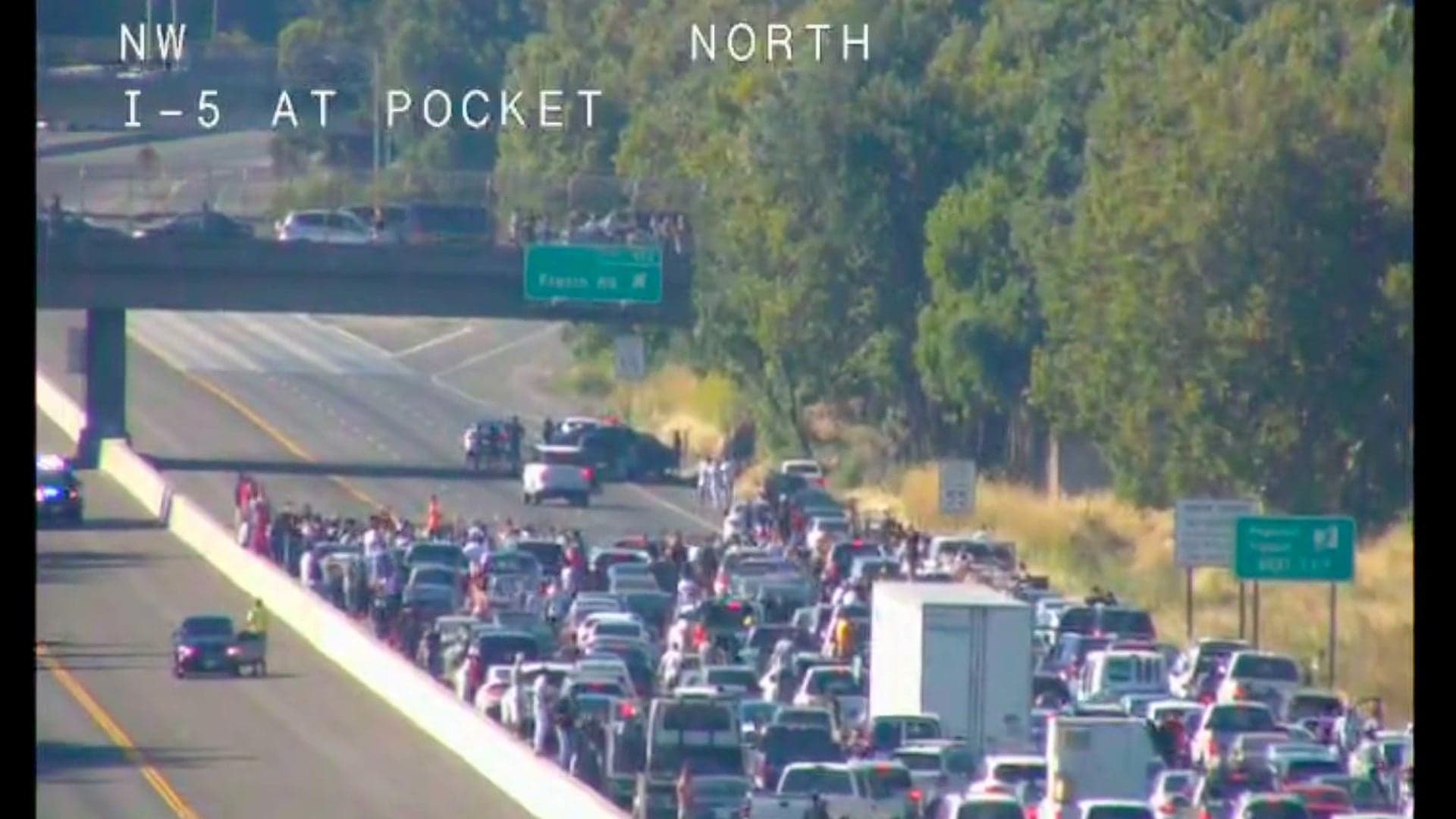 California Police Arrest 7 People for Halting Traffic on I-5 With Massive Burnouts, Donuts