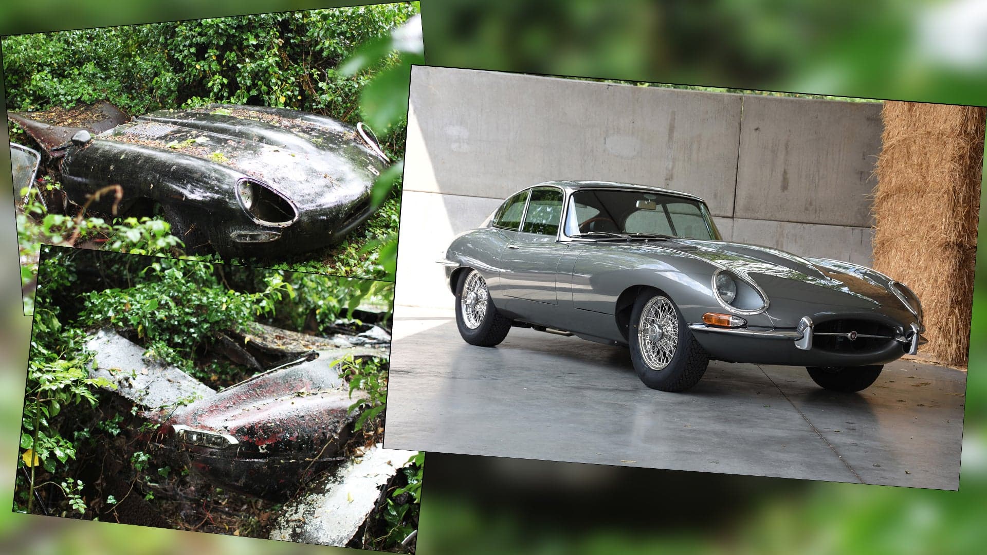 This 1964 Jaguar E-Type Went From Forest-Find To $100,000 Classic