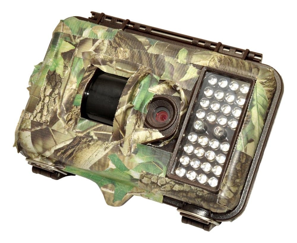 Best Trail Cameras: Capture Animal Movements on Film