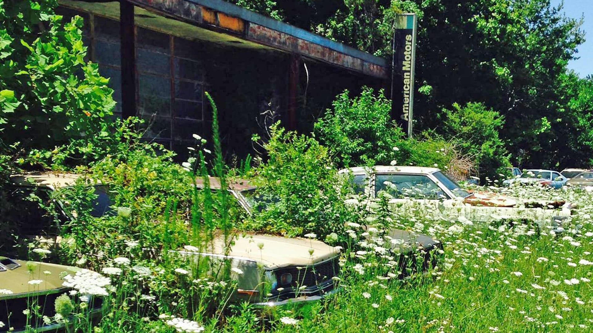There’s a Ruined AMC Dealership That’s Actually Still Open in North Carolina
