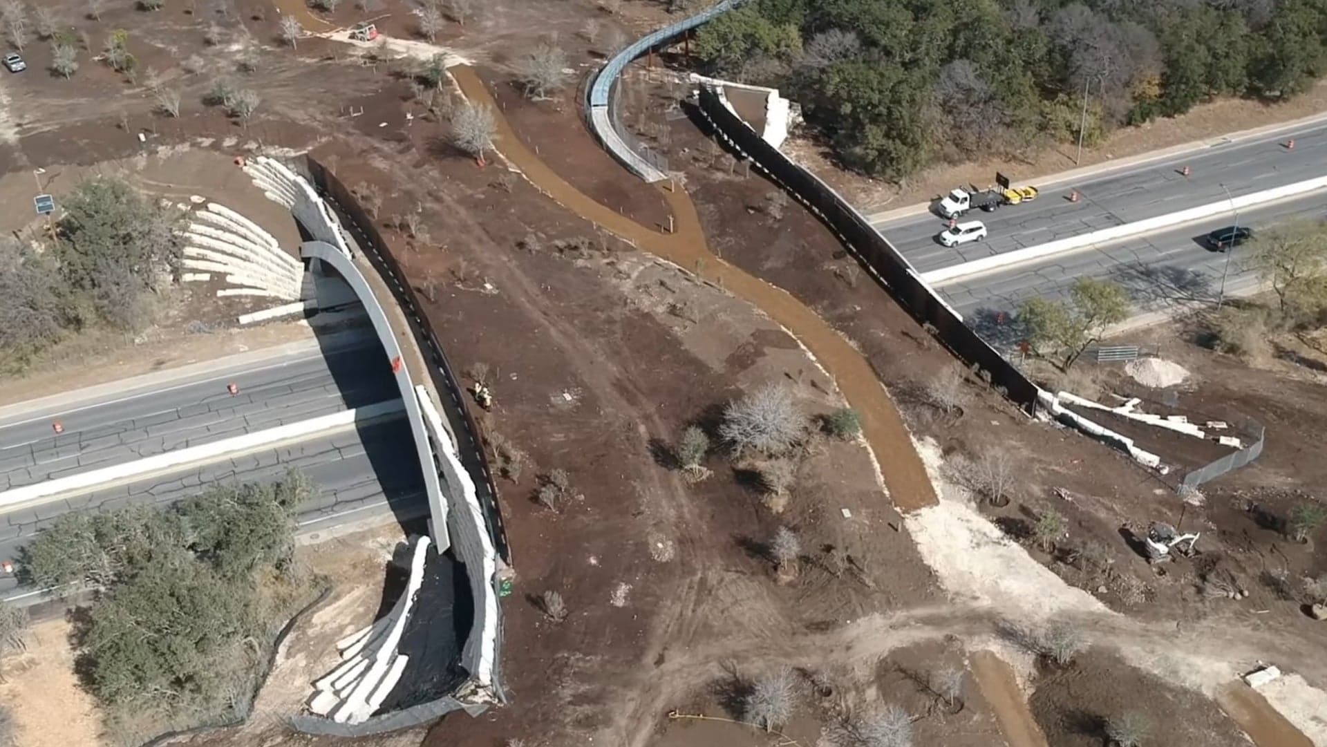America’s Largest Wildlife Overpass Opens in Texas After Years of Construction