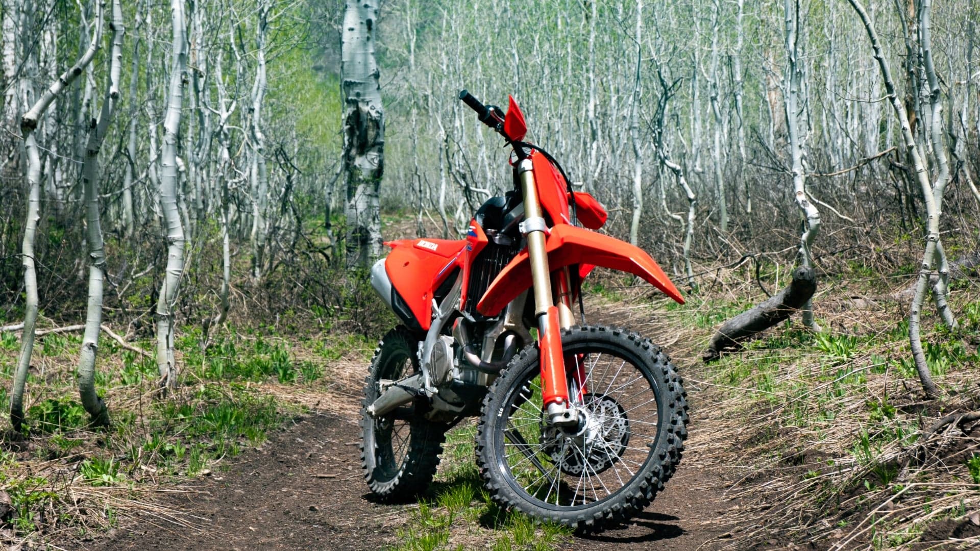 2022 Honda CRF450RX Review: A Punchy Race Bike You Can Adventure With