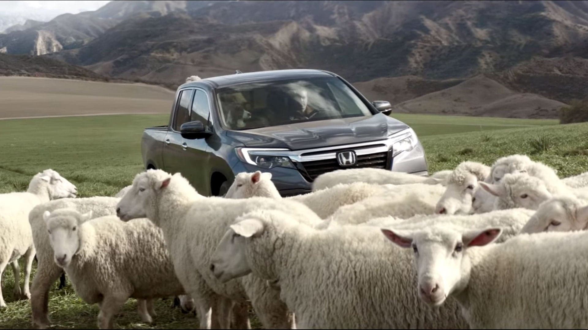 Honda Hires “King of Super Bowl Ads”; Gets Sheep Singing Queen