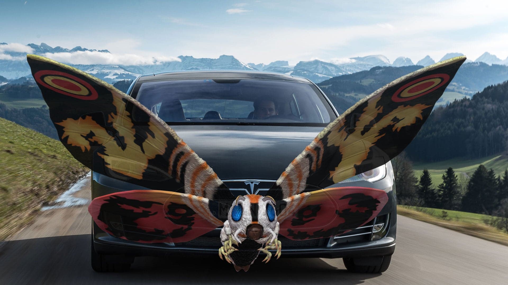 A Tesla Model S’s Autopilot Was Knocked Out—By a Moth