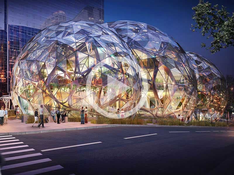Design: Amazon Building Treehouses for Employees