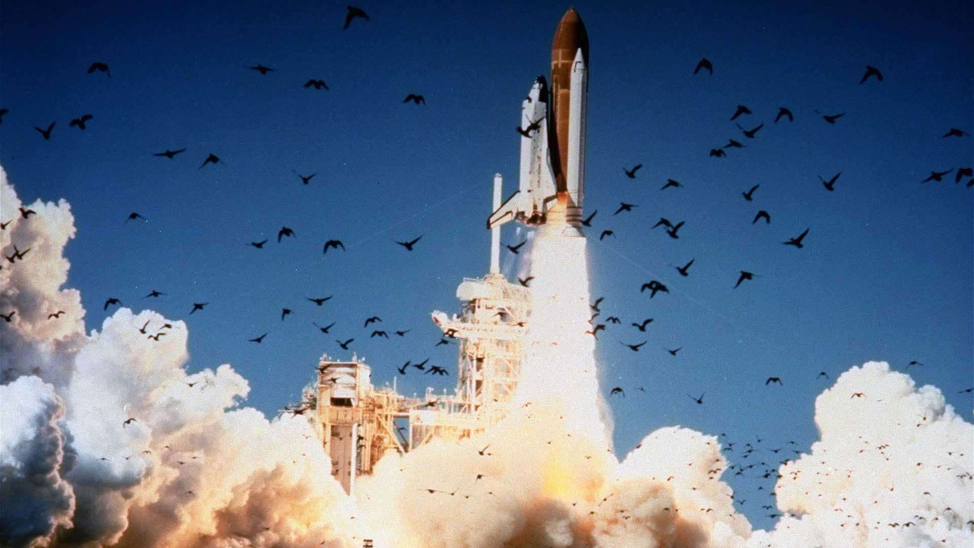 What Did We Learn From the Challenger Tragedy?