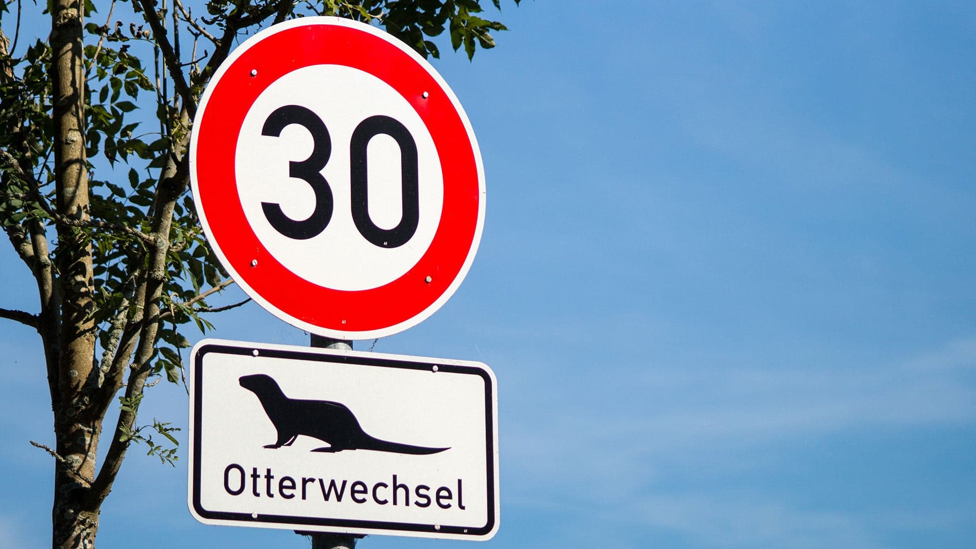 Europe Could Soon Prevent All New Cars from Breaking the Speed Limit