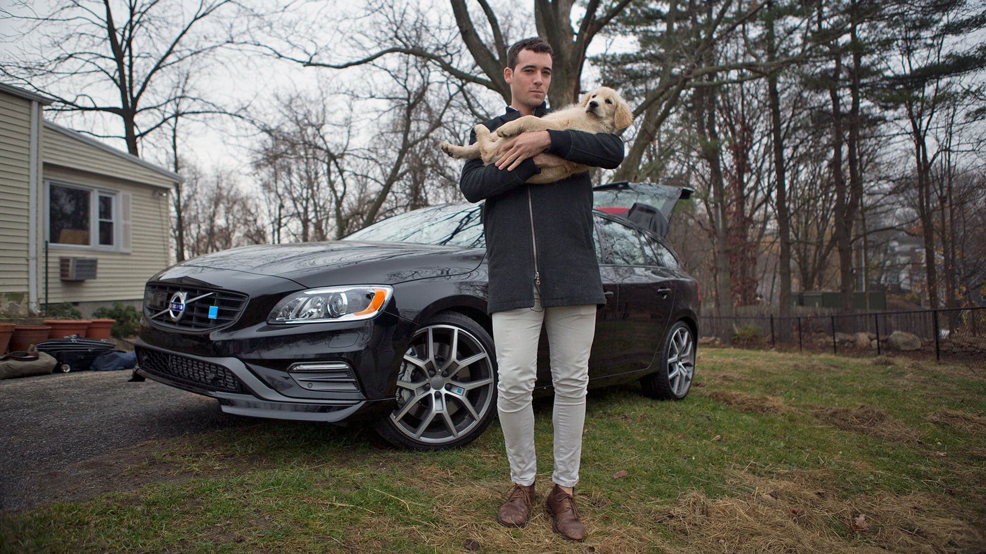 Video: How Many Puppies Fit In a 2016 Volvo V60 Polestar?