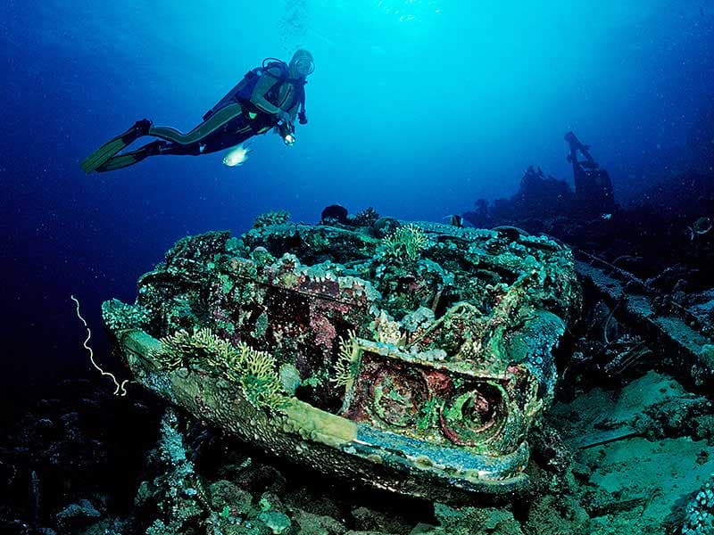 Rust and Reef: Exploring Underwater Car Ruins