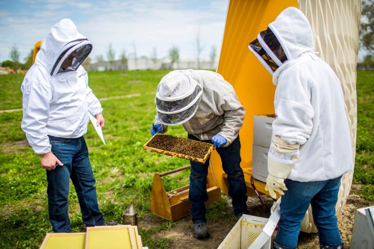 Heroes to Hives beekeepers at Ford's Ypsilanti site, tending to bees