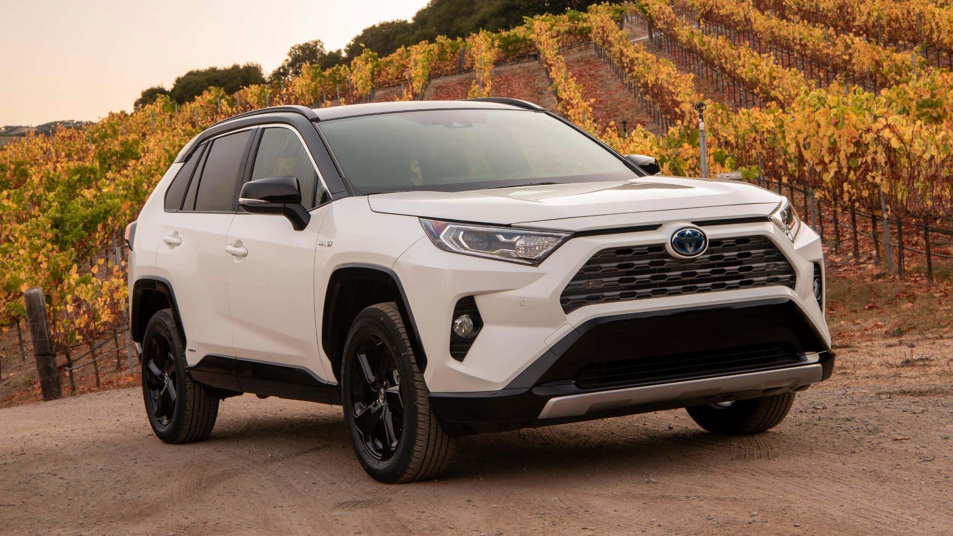 A Toyota RAV4 Hybrid in the wilds of wine country. Must be nice. 