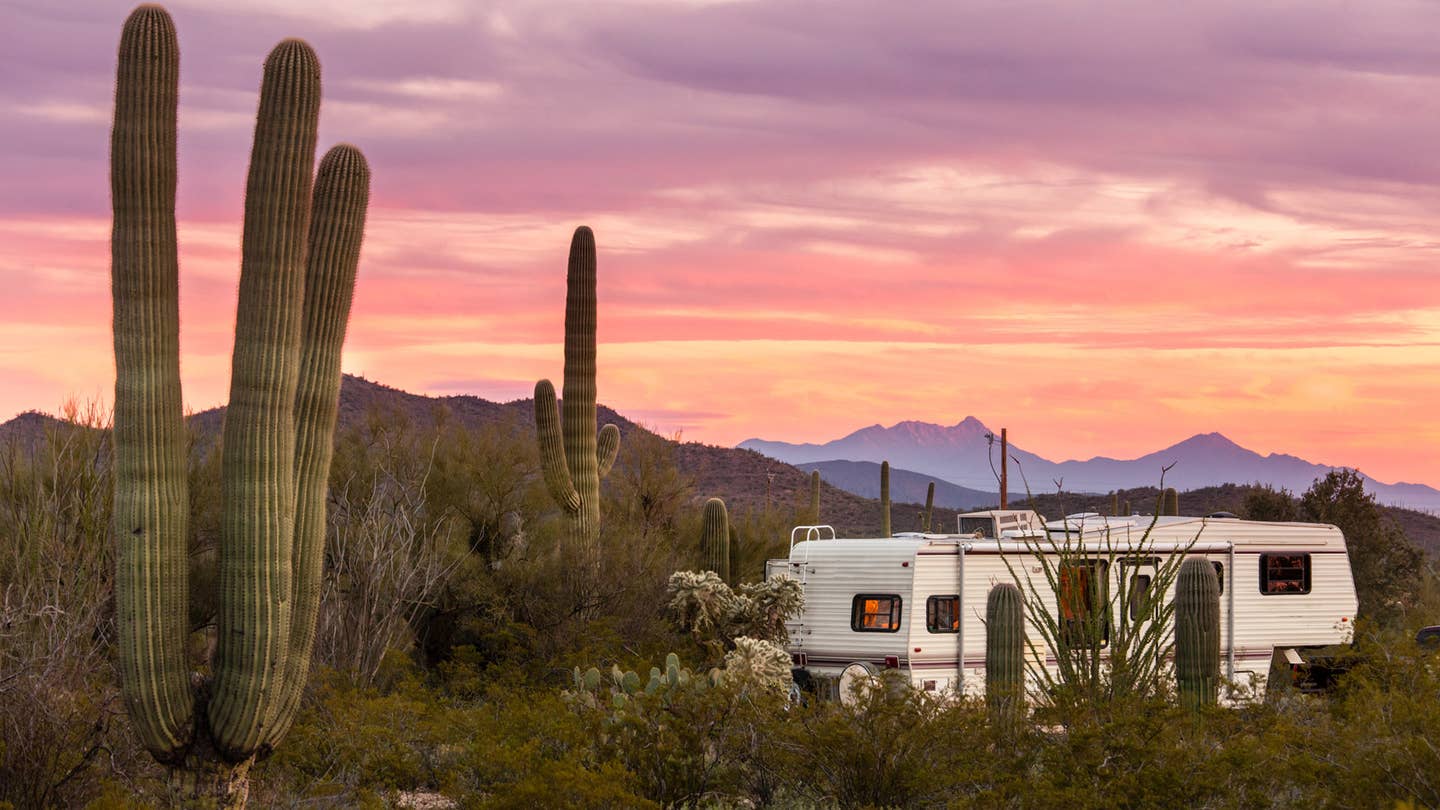 A fifth-wheel RV is parked amongst cacti in the desert. 