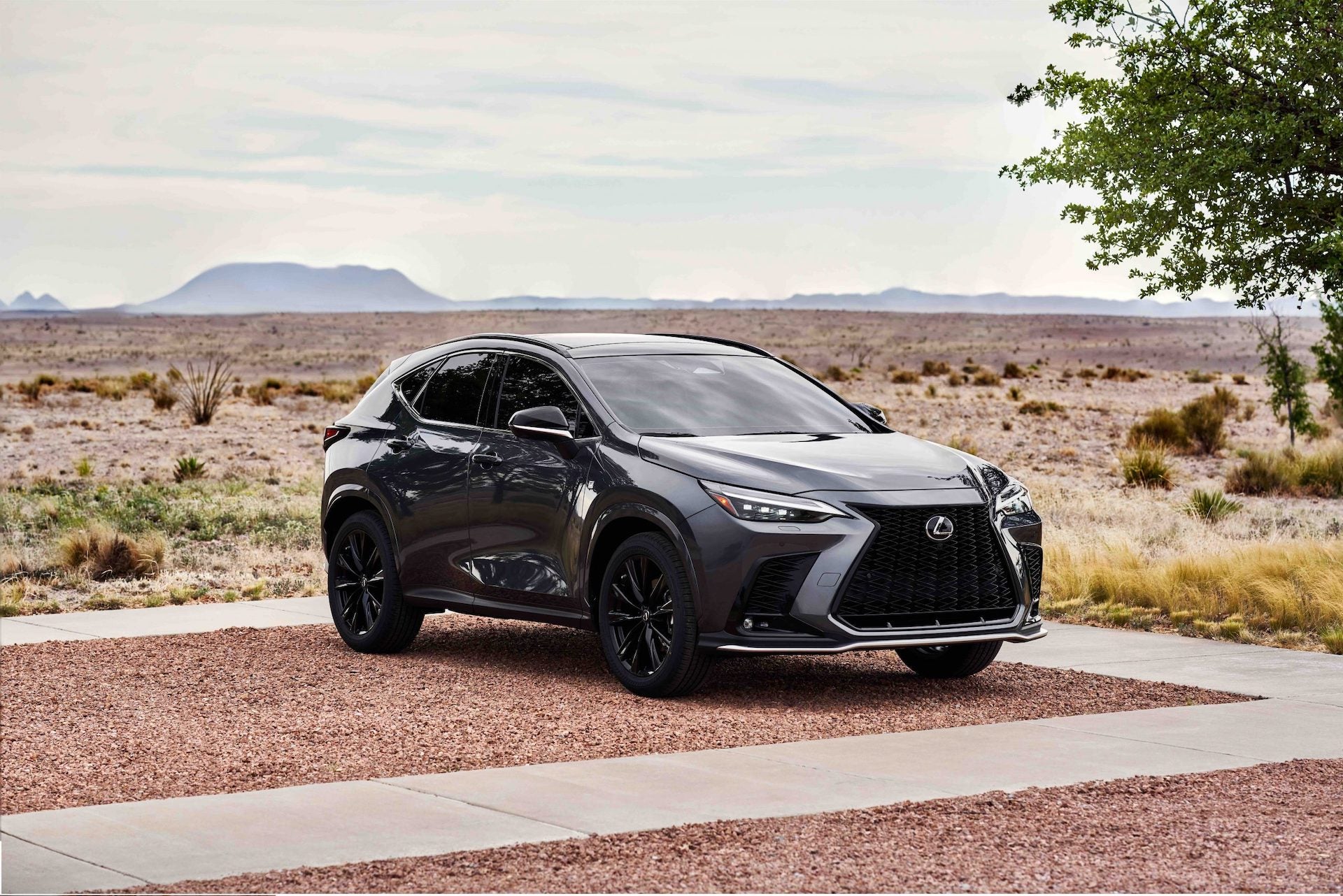 2022 Lexus NX: Small Crossover With Big Plans as Lexus' First-Ever Plug-In  Hybrid