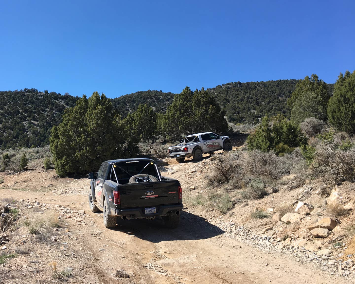 Two Ford F-150 Raptors get dirty in the Utah mountains.