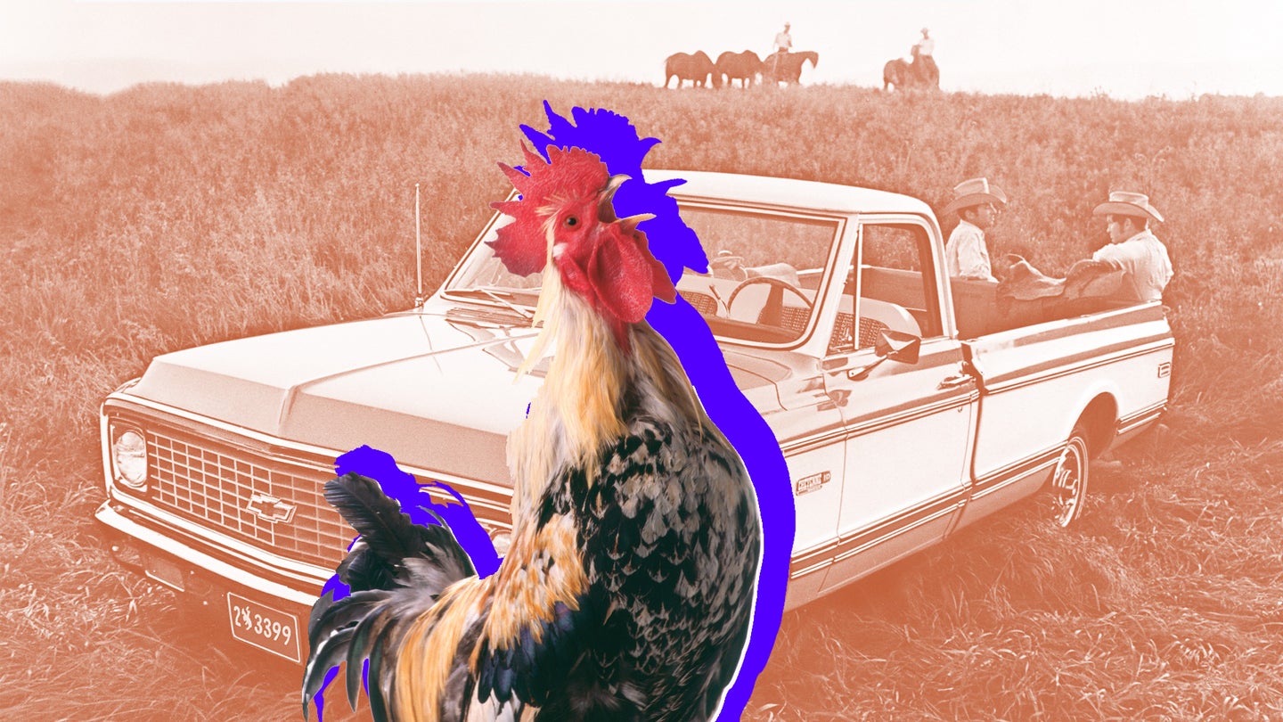 American Trucks Rule Thanks to the Chicken Tax