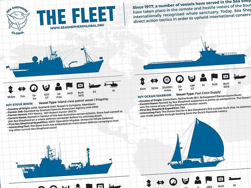 Check Out This Infographic Of Sea Shepherd’s Growing Naval Armada