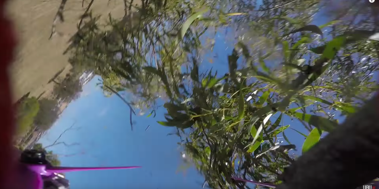 Watch a Tree Miraculously Save a Racing Drone From a High-Speed Crash