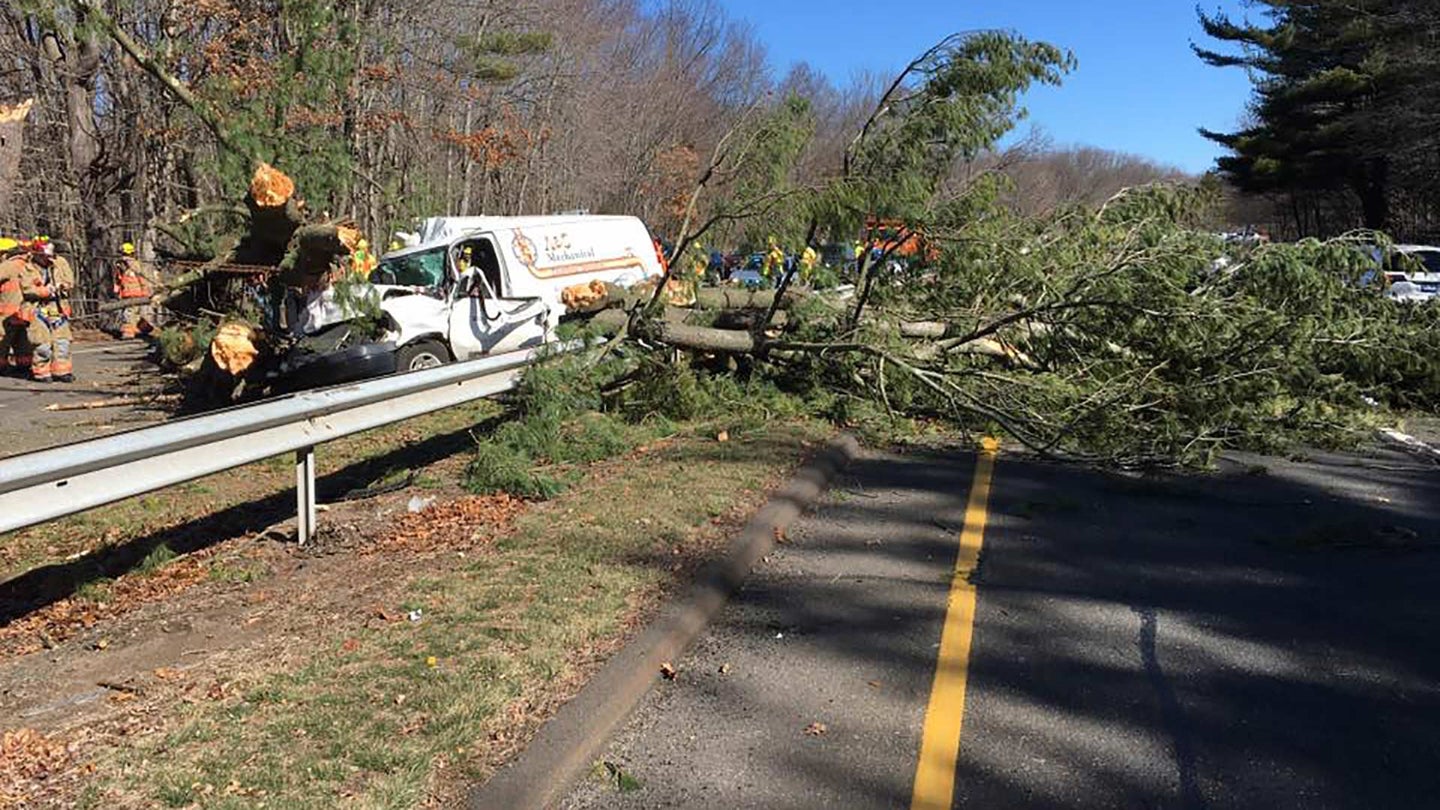 Massive Tree Crushes Van On Merritt Parkway