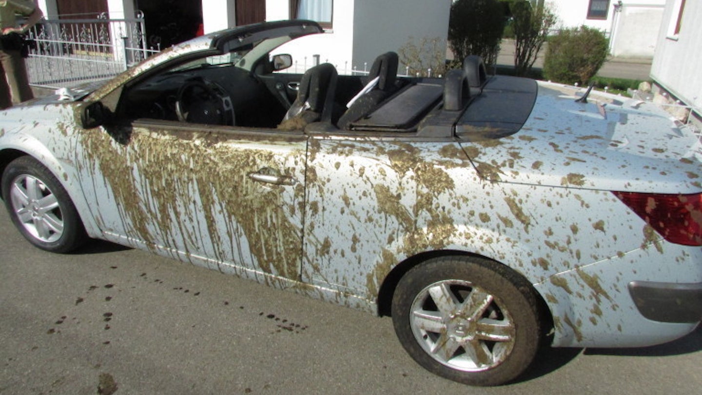 Trailer Coats Father and Daughter in Renault Convertible With Liquid Poo