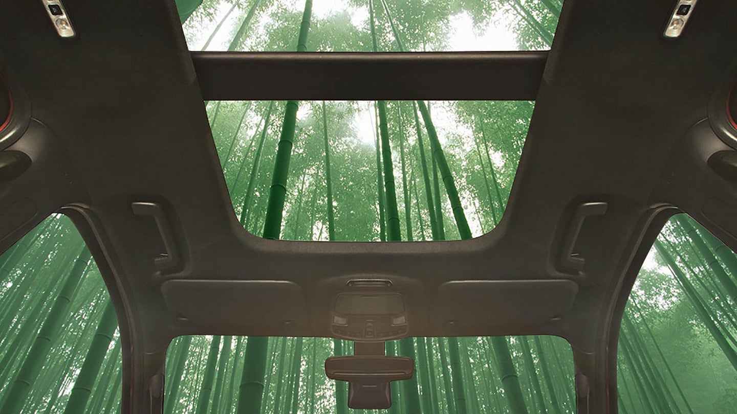 Ford May Use Bamboo In Your Next Vehicle