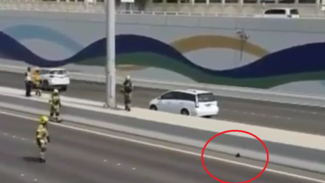 Watch Abu Dhabi Police Close a Highway to Rescue a Kitty