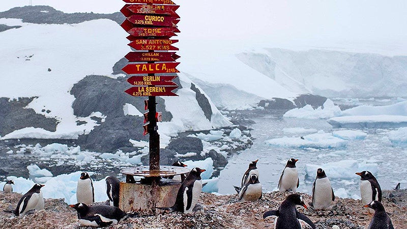 Yes, Britain Really Did Just Issue a Terror Warning for Antarctica
