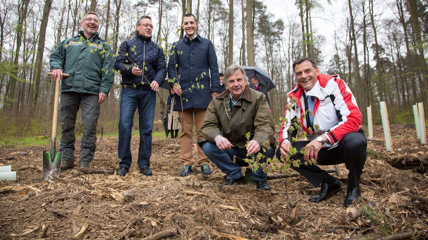 Porsche Planted 5000 Trees Last Week For Sustainability