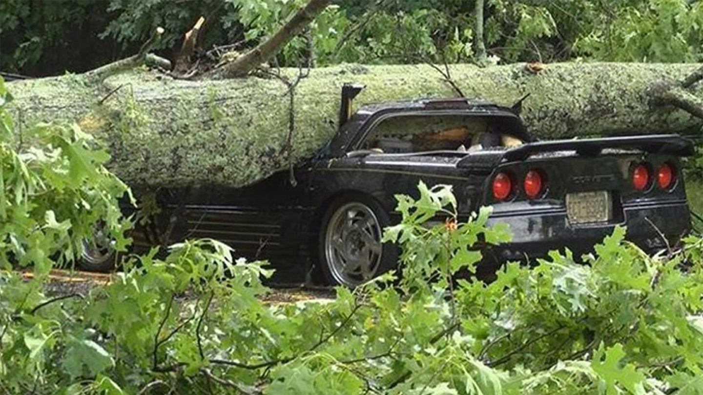 Chevy Corvette Driver Narrowly Escapes Death After Tree Falls on Him