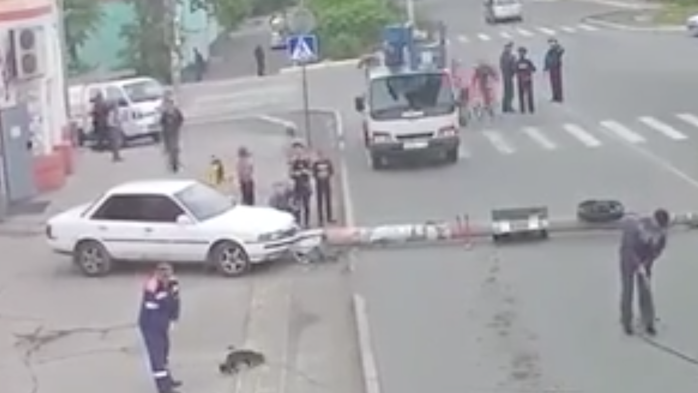 Watch This Russian Cat Have a Grand Old Time at a Car Crash Scene