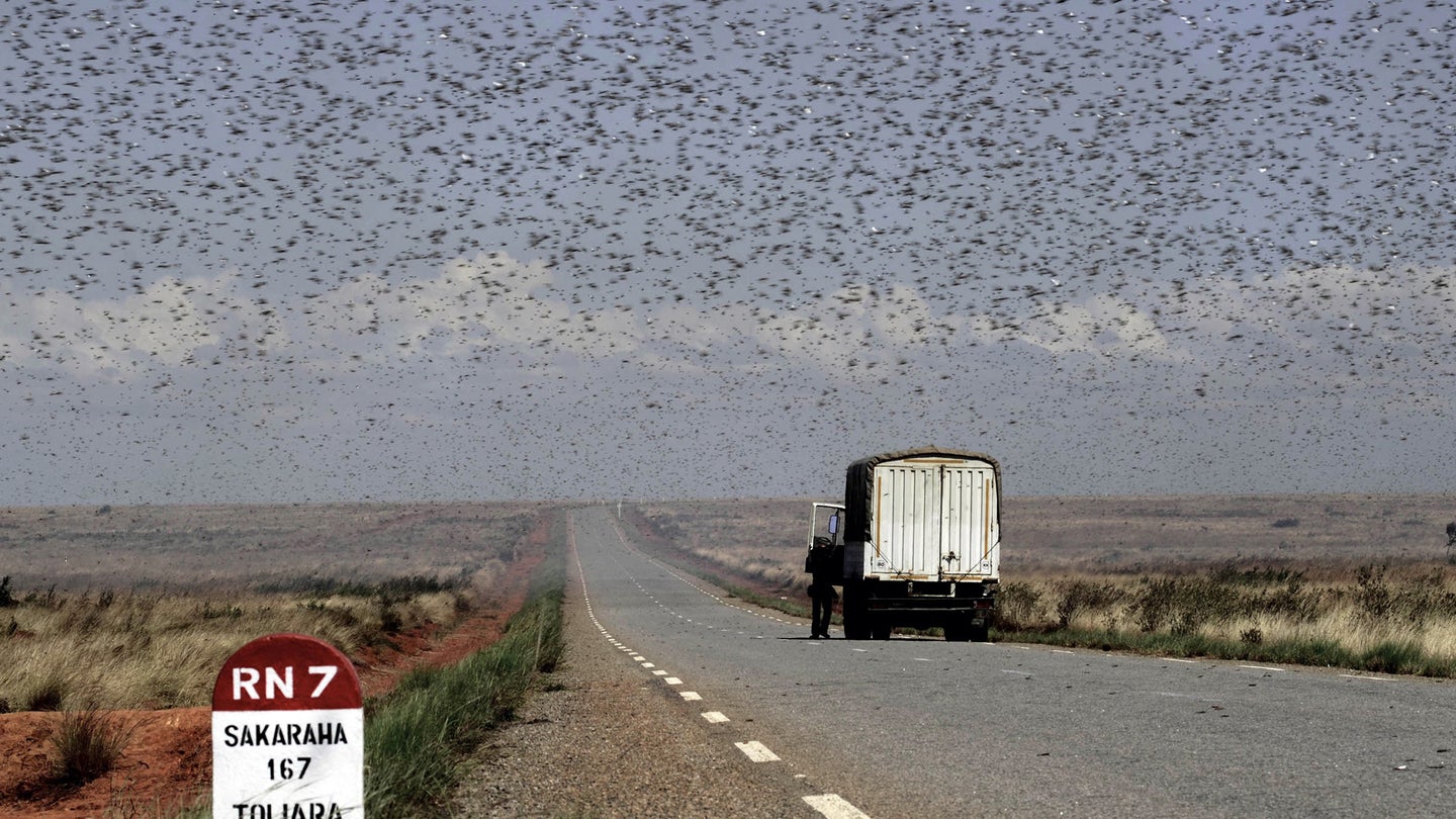 Russian Dash Cam Shows Car Driving Into Swarm of Locusts