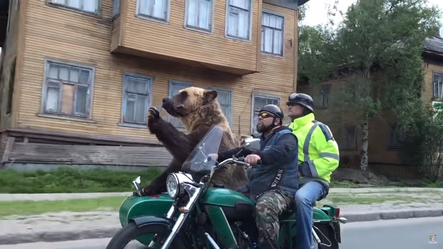 Russian Bear Waves Cheerfully While Riding Through Town in Motorcycle Sidecar