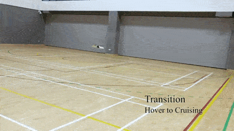 THOR Transformer Drone Can Hover and Cruise Equally Well