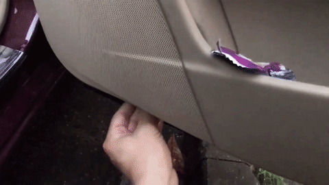 Watch a Waterfall Emerge From This Mercedes-Benz CLS Door Thanks to a Stuck Drain