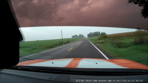 Watch a Deer Come Out of Nowhere and Total This Dodge Charger R/T