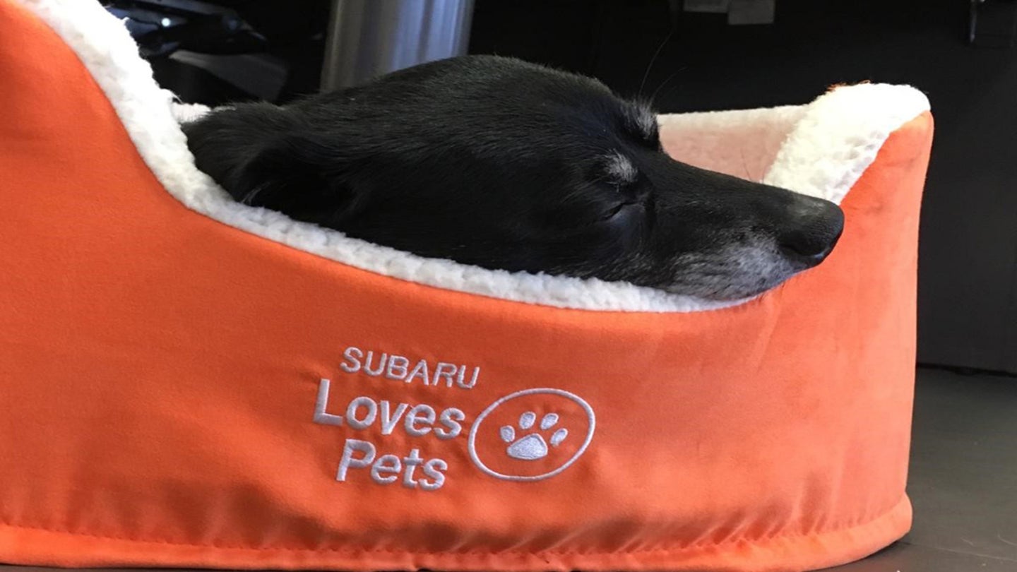 Subaru to Host Animal Shelter Supply Drives Through the Month of October