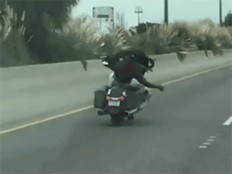 Watch This Fool Stunt Down the Highway on a Big Old Harley-Davidson