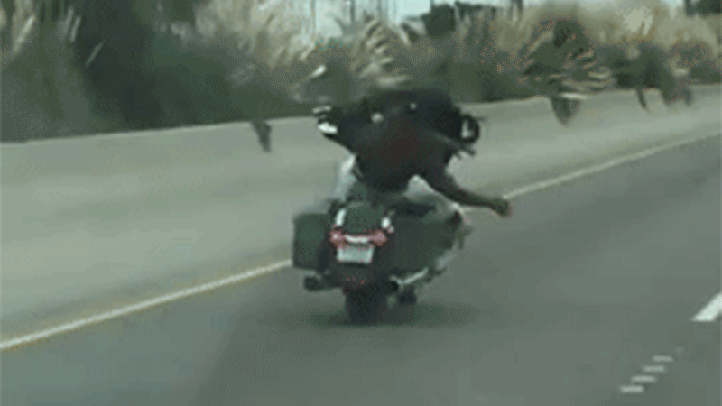 Watch This Fool Stunt Down the Highway on a Big Old Harley-Davidson